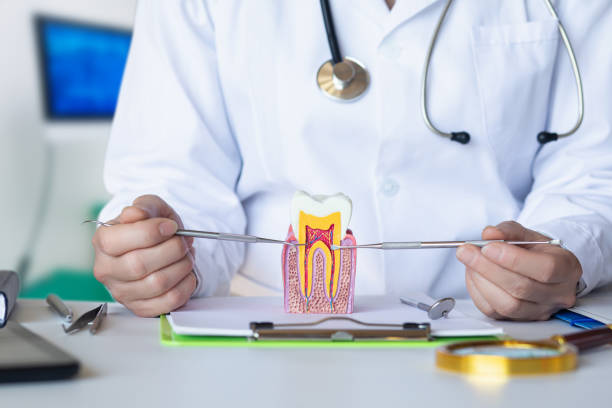 Best Emergency Treatment for Dental Infections or Abscesses in Clover, SC
